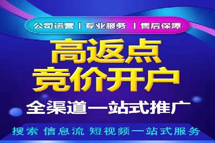 SEM优化策略：实战案例解析